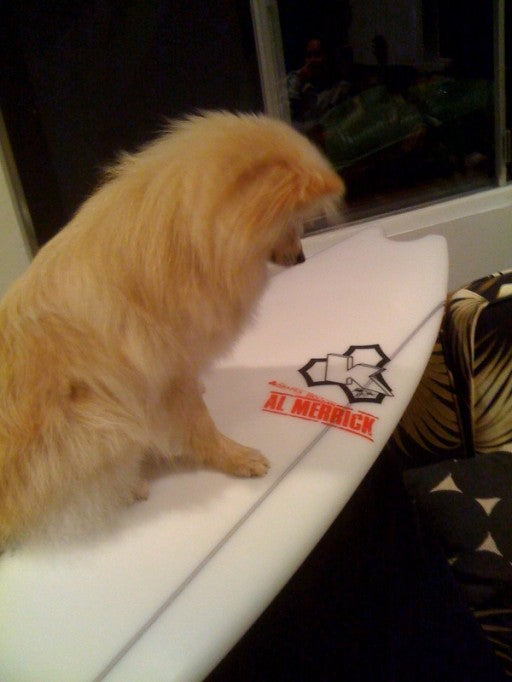 Little White takes a closer look at Kelly's new board design.