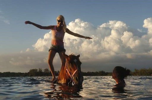 Horse Surfing